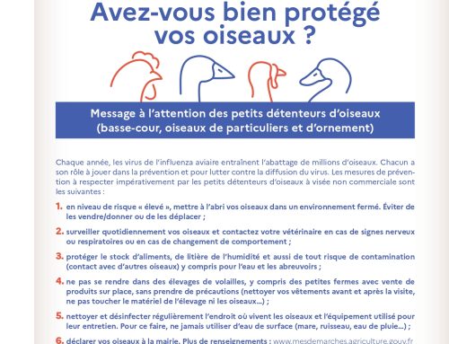 grippe aviaire