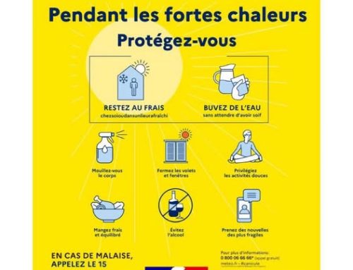 Fortes chaleurs les gestes à adopter